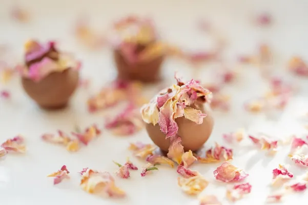 Bet24star Kasino Android/iOS aplikace